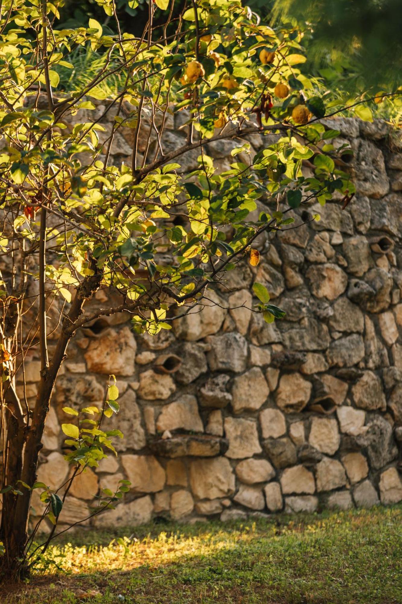 Méson Yerakaríon Ilyessa Cottages المظهر الخارجي الصورة